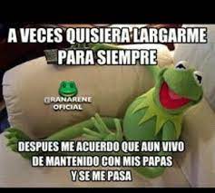 Pin By Laura Gil On Frases Humor Spanish Humor Memes