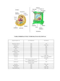 We did not find results for: Perbedaan Struktur Sel Tumbuhan Dan Sel Hewan