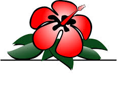 Check spelling or type a new query. Quality Tropicals Flowers From South Florida