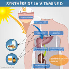 Dans notre peau, qui est capable de la produire sous l'influence du rayonnement solaire. Combien De Temps Faut Il S Exposer Au Soleil Pour Synthetiser De La Vitamine D Creapharma
