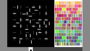 Bildergebnis für Lotte Schreiber