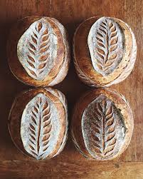Olive Branch Cameo Scored Rosemary Sourdough Loaf Bread Scoring Bakery Bread Bread Scoring Patterns