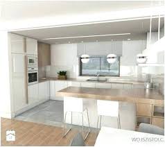 kitchen design: big open kitchen designs