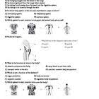 This Pdf Contains 2 Worksheets With Multiple Choice Questions On The Human Body System The First Worksheet Has 10 Q Human Body Systems Body Systems Human Body
