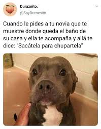 Pin De Oscar Leo Cartageba En Cozitas Para Tu Relationsjipp Memes Divertidos Memes Para Mi Novio Memes