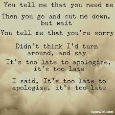 Charming Life Pattern Apologize By Onerepublic Quote Song Lyrics Favorite Lyrics Lyrics Song Lyric Quotes