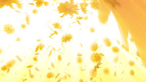 Vector, web banner, ui examples, after effects template, after effects script, premiere pro template, etc. Daisy Flowers Falling By Tananchai Videohive