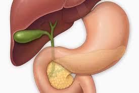 Perut kejang dan sakit perut berterusan. Tanda Tanda Dan Rawatan Kanser Duktus