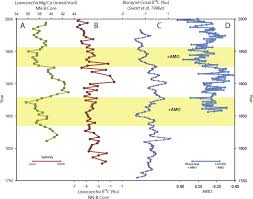 Sedimentation Rate An Overview Sciencedirect Topics