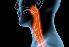 يفتقر محتوى هذه المقالة إلى الاستشهاد بمصادر. Ø§ÙØ¯ÙÙÙ Ø§ÙÙØ®ØªØµØ± ÙØ§Ø¶Ø·Ø±Ø§Ø¨ Ø¹Ø³Ø± Ø§ÙØ¨ÙØ¹ Ø§ÙØ¬ÙØ§Ù ÙØª