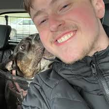 Where to find a good Cane Corso breeder?