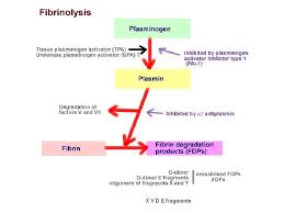 Patients may not follow any special discipline before this test. Blood Coagulation Tests Department Of Laboratory Medicine Wooin