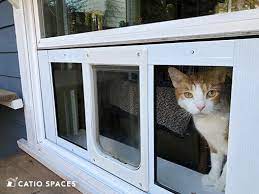 Cat Door For Your Catio By Spaces