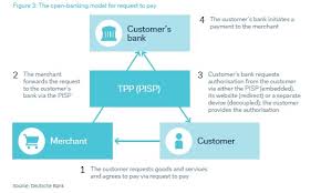 Request To Pay The Future Of Payments Thepaypers