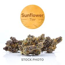 Sunflower Trainwreck Flo | Sativa-Hybrid