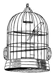 Download the free printable bird cage adult coloring page, so that you can help create a pretty living space for this cute little birdy. Coloring Page Bird In A Cage Free Printable Coloring Pages Img 20684