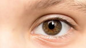 See more ideas about how to color eyebrows, best eyebrow products, eyebrow makeup. Proper Eyebrow Color For Grey Hair And A Realistic Grey Hair Look