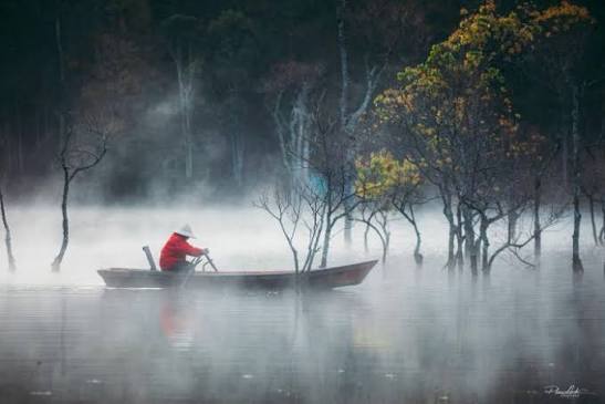 Du lịch suối Tía Đà Lạt đẹp ma mị khiến lữ khách si mê