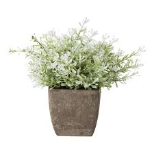 La mayoría tiende a estar escondida alrededor del mundo, como si estuviera a la espera de sorprendernos y. Plantas Y Flores Artificiales Muy Decorativas Para Anadir En Casa