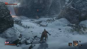 The sabimaru prosthetic tool is a good option for this fight as shirafuji is susceptible to poison. Sekiro How To Defeat Snake Eyes Shirahagi And Snake Eyes Shirafuji Usgamer
