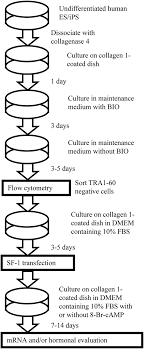 Pdf] A Method For Differentiating Fetal Bovine Serum From Newborn Calf Serum  | Semantic Scholar