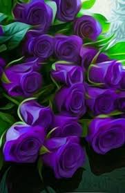 Pin By Passion Walker On Purple Flowers Purple Roses Purple Flowers Purple Meaning