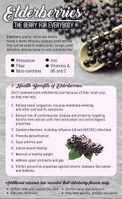 Irish Sea Moss Bladderwrack Burdock Root Capsules Elderberry Benjisbrand Elderberrygummies Coldandflu Influenza Arthritis Facebook