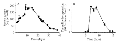 For example, the growth of a visible colony of animal cells from a single cell takes a week or more, whereas colonies of e. A Growth Curve Of Primary Cultures Of Gill Epithelial Cells The Download Scientific Diagram
