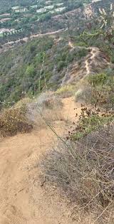 Both loops begin the same way, heading up hastain trail from lake drive within franklin canyon park. Franklin Canyon Park Beverly Hills Mountain Biking Trails Trailforks