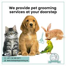 Collection by pet groomer's profit generating kit. Dubai Pets Grooming Dubai Pets Twitter
