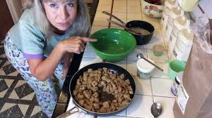 Vegan Seitan Oats Cat Food Recipe