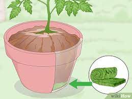Apr 30, 2015 · add potting soil and mix well to distribute the gel granules. 3 Ways To Keep Soil Moist Wikihow