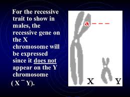 In complete dominance inheritance patterns, the phenotype of the dominant trait will completely mask the phenotype of the recessive trait. Modern Mendelian Genetics Gene Expression Every Organism Has At Least Two Alleles That Govern Every Trait One From The Mother And One From The Father Ppt Download
