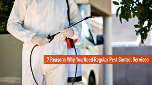 We did not find results for: 7 Reasons Why You Need Regular Pest Control Services The Pinnacle List