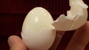Research flourishes in our 30 departments across five schools and one college, as well as in dozens of centers, labs, and programs that convene experts across disciplines to explore new intellectual frontiers and attack important societal problems. Renowned Chef Shares Hack To Peel Hard Boiled Eggs 12 Tomatoes