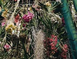 11 Pflegeleichte Gemusesorten Die Auch Anfangern Gelingen Gartenblog Hauptstadtgarten Gemusegarten Anlegen Gartenblog Gartenboden