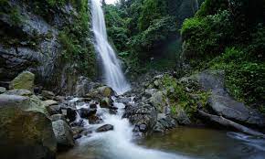 Potensi kabupaten karawang selama ini memang seolah tertutupi oleh popularitas kota bandung. Menikmati Keindahan Alam Curug Cigentis Di Karawang Java Travel