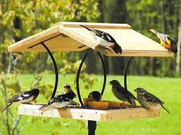 Mangeoire maisonnette en bois oiseau, suspendue. Mangeoire Pour Oiseaux 60 Modeles Et Idees Diy