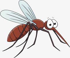 Selain gambar diatas kami juga memiliki banyak sekali gambar, ide modifikasi, desain rumah, wallpaper, animas, gambar pemandangan, gambar baik, tato, model. 26 Gambar Nyamuk Aedes Kartun Gambar Kartun Hd