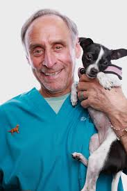Raw dog food basics dr marty. Dr Marty Goldstein Speaking At California Cancer Event Petsplusmag Com