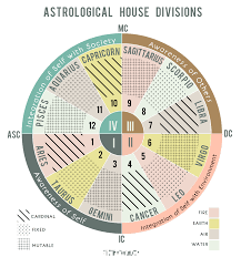 About To Believe The Birth Chart Is A Big Pizza Pie With