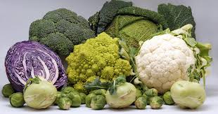 Image result for vegetables "org"