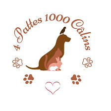 4 pattes 1000 Câlins