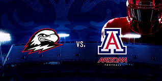Image result for southern utah arizona wildcats football