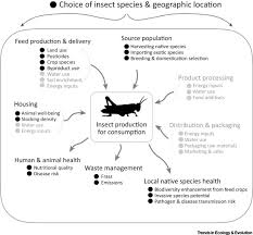 Among ordinary concerns is that all food premises have pest problems. Approaching Ecological Sustainability In The Emerging Insects As Food Industry Trends In Ecology Evolution