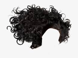 From what we have seen, it's plain that texture is important in these black curly hairstyles for men. Hair Png Black Curly Hair Png Free Transparent Png Download Pngkey