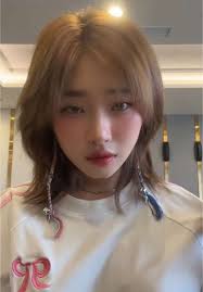 Mullet Haircut Ideas for Girls