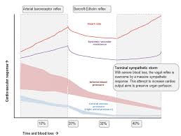 response to haemorrhage the loss of 1l of blood deranged