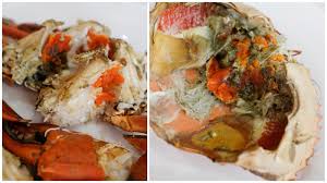Sie waren bereits in delay no more crab restaurant?teilen sie ihre erfahrung! Eat Drink Kl Delay No More Crab Restaurant Sri Hartamas One Seafood Bukit Bintang
