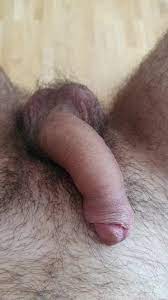 Steif werdender Penis